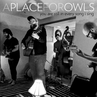 Owls - Song #9 Demo (Joyful Noise Recordings, JNR150.9) · Flexi, 7", S/Sided, Single, Ltd, Cle