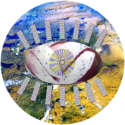 Reptar (2) - In Through The Eyelids / Delusional (Joyful Noise Recordings, JNR159) · 7", Ltd, Num, Blu
