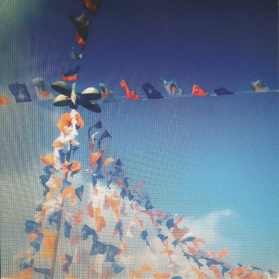 Wye Oak - Trigger Finger (Joyful Noise Recordings, JNR175) · Flexi, 7", S/Sided, Single, Ltd, Cle