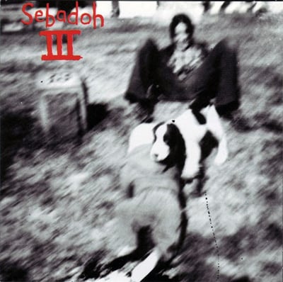 Sebadoh - Goodbye L.A. (Joyful Noise Recordings, JNR200-5) · 7", Single, Ltd, Num, Whi