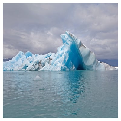 Surfer Blood - Snowdonia (Joyful Noise Recordings, JNR220) · LP, Album, Ltd, Num, Blu