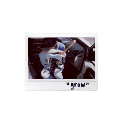 Thomas Fekete - Grow (Joyful Noise Recordings, JNR249) · LP, Album, Ltd, Num, Gre