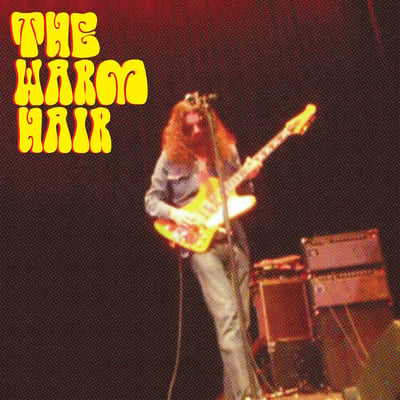 The Warm Hair - Dark Side Of My Room (Joyful Noise Recordings, JNR250-4) · LP, Album, Ltd, Num, W/Lbl