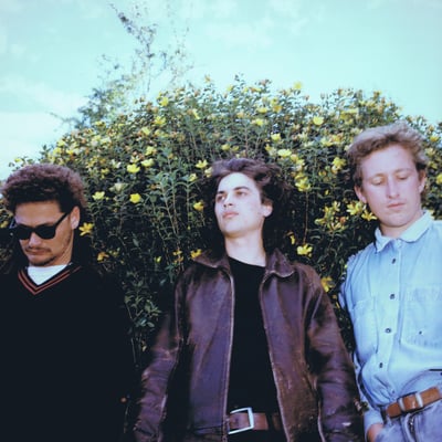 Stephen - Radar Of Small Dogs (Joyful Noise Recordings, JNR350-10) · LP, Album, Ltd, Num, RE