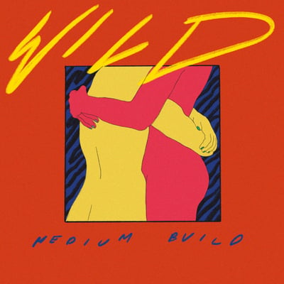 Medium Build - Songs For Anchorage (Joyful Noise Recordings, JNR400-2) · LP, Album, Num
