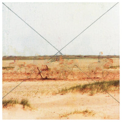 Noble Rot (3) - Heavenly Bodies, Repetition, Control (Joyful Noise Recordings, JNR400-6) · LP, Album, Ltd, Num