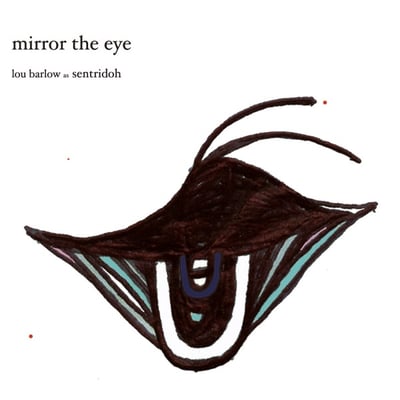 Lou Barlow As Sentridoh - Mirror The Eye (Joyful Noise Recordings, JNRAEC01-12) · 7", EP, RE