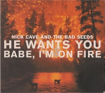 Nick Cave & The Bad Seeds - He Wants You / Babe, I'm On Fire (Mute, Mute, 10 MUTE 290, 10Mute290) · 10", Single