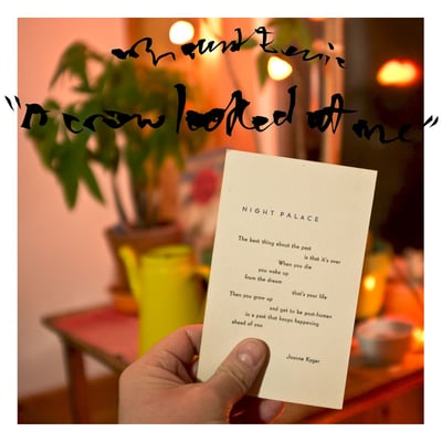 Mount Eerie - A Crow Looked At Me (P.W. Elverum & Sun, Ltd., ELV040) · LP, Album