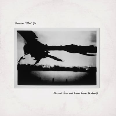 Takaakira Goto - Classical Punk And Echoes Under The Beauty (Pelagic Records, PEL 048) · LP, Album, Ltd, Whi