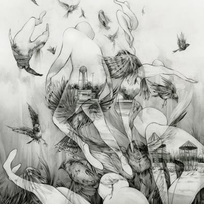 Mono (7) - The Last Dawn (Pelagic Records, PEL039) · LP, Album, Ltd, RE, Gol