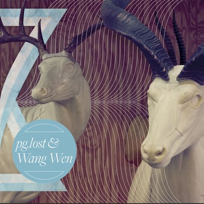 pg.lost & Wang Wen - pg.lost & Wang Wen (Pelagic Records, Weary Bird Records, Genjing Records, New Noise (4), none) · LP, MiniAlbum, Bro