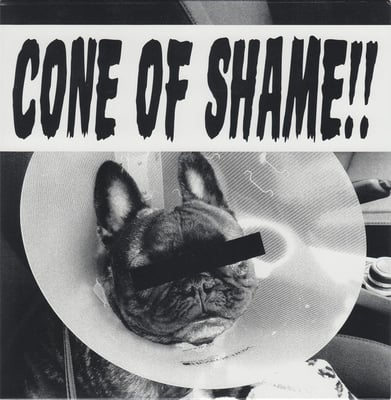 Faith No More - Cone Of Shame (Reclamation! Recordings, Reclamation! Recordings, Ipecac Recordings, RR006GD, RR006) · 7", Single, Ltd, Gol