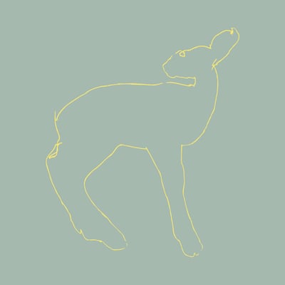 Songs: Ohia - Hecla & Griper (Secretly Canadian, SC8) · CD, EP