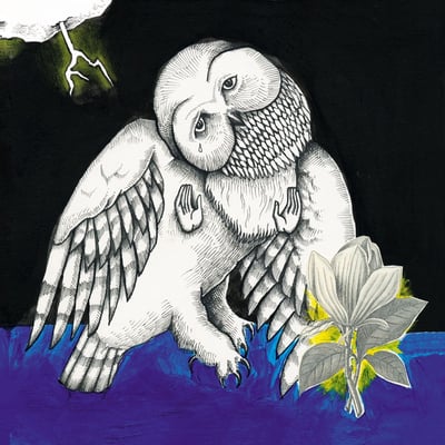 Songs: Ohia - The Magnolia Electric Co (Secretly Canadian, SC300) · LP, Album, RE + LP, RE + 10", Single + Dlx, 10t