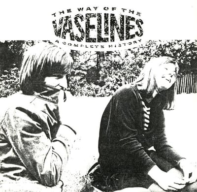 The Vaselines - The Way Of The Vaselines - A Complete History (Sub Pop, SP145b) · CD, Comp