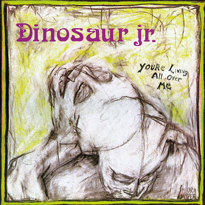Dinosaur Jr. - You're Living All Over Me (Sweet Nothing Records, SNCD038) · CD, Album, Enh, RE