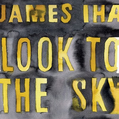 James Iha - Look To The Sky (The End Records, TE288-1) · LP, Album, Blu