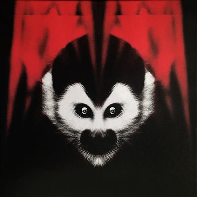 The White Stripes - Under Amazonian Lights (Third Man Records, Third Man Records, TMR-302, TMR-303) · 2xLP, Red + 7", Whi + DVD-V + Box, Ltd