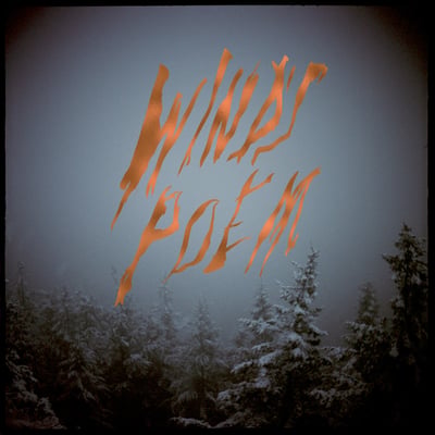 Mount Eerie - Wind's Poem (Tomlab, TOM 131 LP) · 2xLP, Album