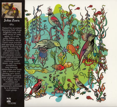 John Zorn / Rashanim - Masada Rock (Tzadik, TZ 8103) · CD, Album