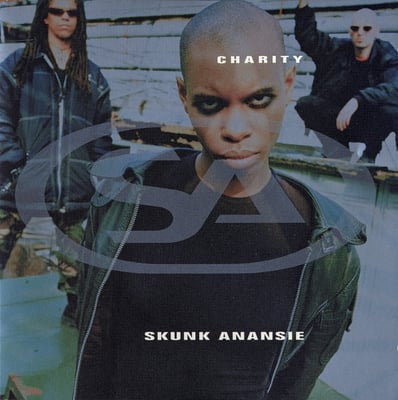 Skunk Anansie - Charity (Virgin, One Little Indian, 7243 8 93660 2 0, 893660 2) · CD, Single
