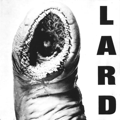 Lard - Power Of Lard EP (Alternative Tentacles, VIRUS 72) · 12" · Silver/Black Swirl · Remastered