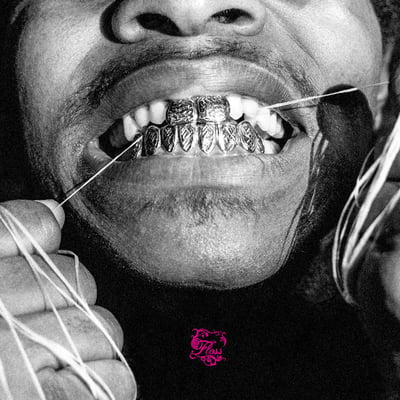 Injury Reserve - Floss (Not On Label (Injury Reserve Self-Released), none) · LP