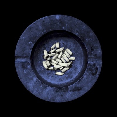 Laura Jane Grace - Stay Alive (Polyvinyl Record Company, PRC-418) · LP · White Vinyl + Purple & Blue Swirls · Limited Edition
