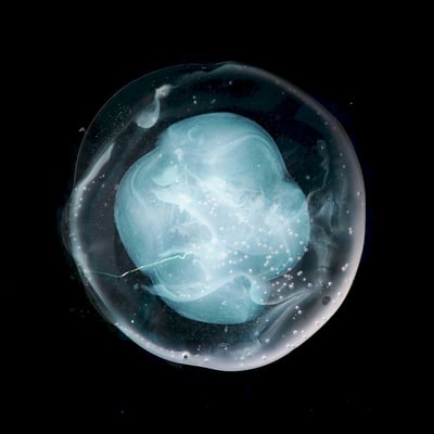 A Winged Victory For The Sullen - The Undivided Five (Ninja Tune, ZEN255X) · LP · Clear/Silver Marbled · Limited Edition