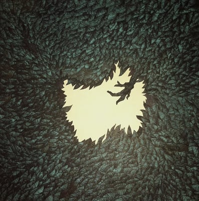 Hop Along - Get Disowned (Saddle Creek, LBJ-222) · LP · Reissue