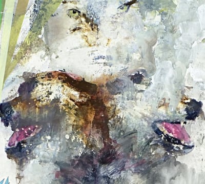 These Arms Are Snakes - Tail Swallower And Dove (Suicide Squeeze, S-078) · LP · VG+/VG+