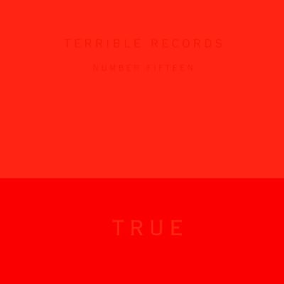 Solange - True (Terrible Records, TR015) · 12" · M/M