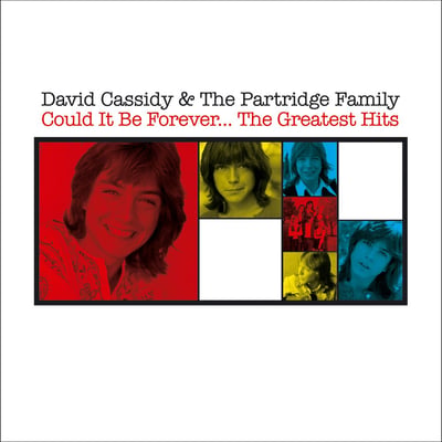 David Cassidy - Could It Be Forever / Blind Hope (Bell Records, 45,187) · 7" · Presswell Pressing