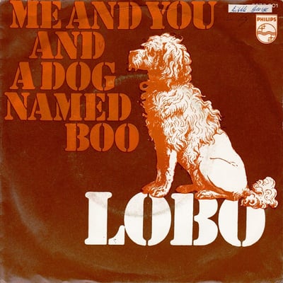 Lobo - Me And You And A Dog Named Boo / Walk Away From It All (Big Tree Records, BT-112) · 7"