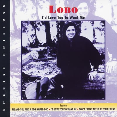 Lobo - She Didn't Do Magic (Big Tree Records, BT116) · 7"