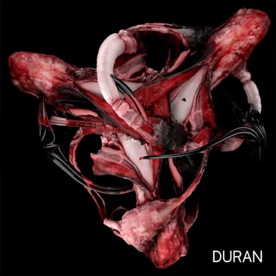 Duran Duran - Duran Duran (Capitol Records, ST-12158) · LP · Jacksonville Pressing · Reissue