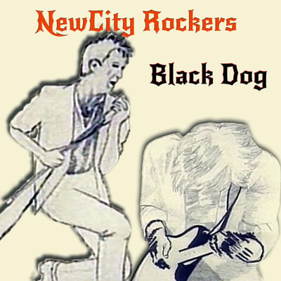 NewCity Rockers - Black Dog (Critique, PR 2008) · 7" · SP pressing · Promo