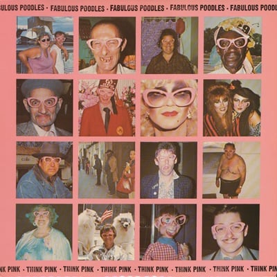 Fabulous Poodles - Think Pink (Epic, JE 36256) · LP · Terre Haute Pressing
