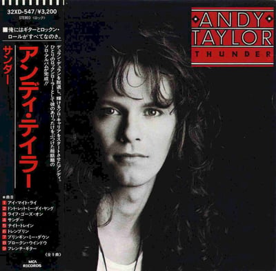 Andy Taylor - Thunder (MCA Records, MCA-5837) · LP · Pinckneyville Pressing