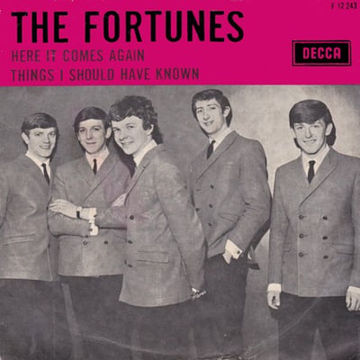 The Fortunes - Here It Comes Again / Things I Should Have Known (Press Records, 45 PRE 9798) · 7"