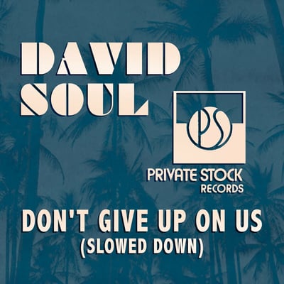 David Soul - Don't Give Up On Us (Private Stock, PSR 45,129) · 7" · Terre Haute Pressing