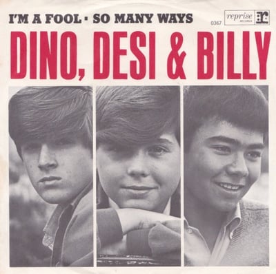 Dino, Desi & Billy - I'm A Fool / So Many Ways (Reprise Records, 0367) · 7" · Terre Haute Pressing