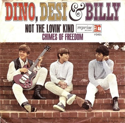 Dino, Desi & Billy - Not The Lovin' Kind (Reprise Records, 0401) · 7" · Terre Haute