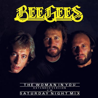 Bee Gees - The Woman In You (RSO, 813 173-7) · 7" · 19