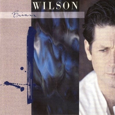 Brian Wilson - Brian Wilson (Sire, 1-25669) · LP · Specialty Press