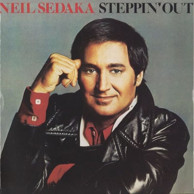 Neil Sedaka - You Gotta Make Your Own Sunshine (The Rocket Record Company, PIG-40614) · 7" · Pinckneyville Pressing