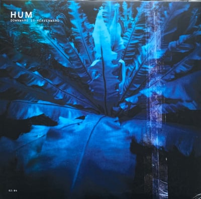 Hum (2) - Downward Is Heavenward (Earth Analog Records, EAR-003) • 2xLP, RE, RP, Yel