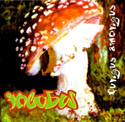 Incubus (2) - Fungus Amongus (Epic, Immortal Records (3), EK 61497) • CD, Album, RE, Son