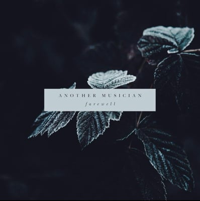 Another Musician - Farewell (Not On Label, AM 004) • 12", S/Sided, EP, Scr